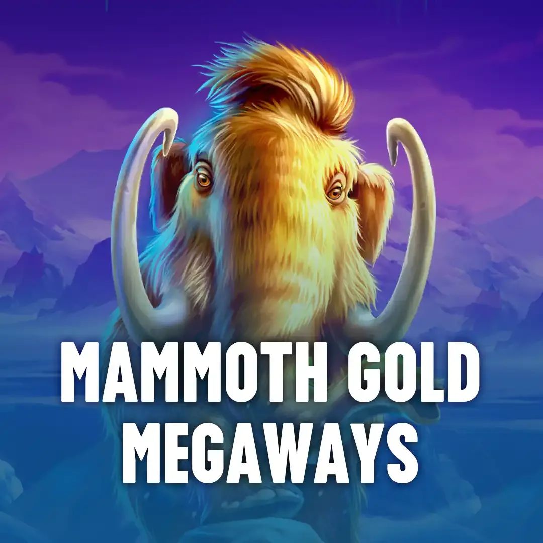 81bet login