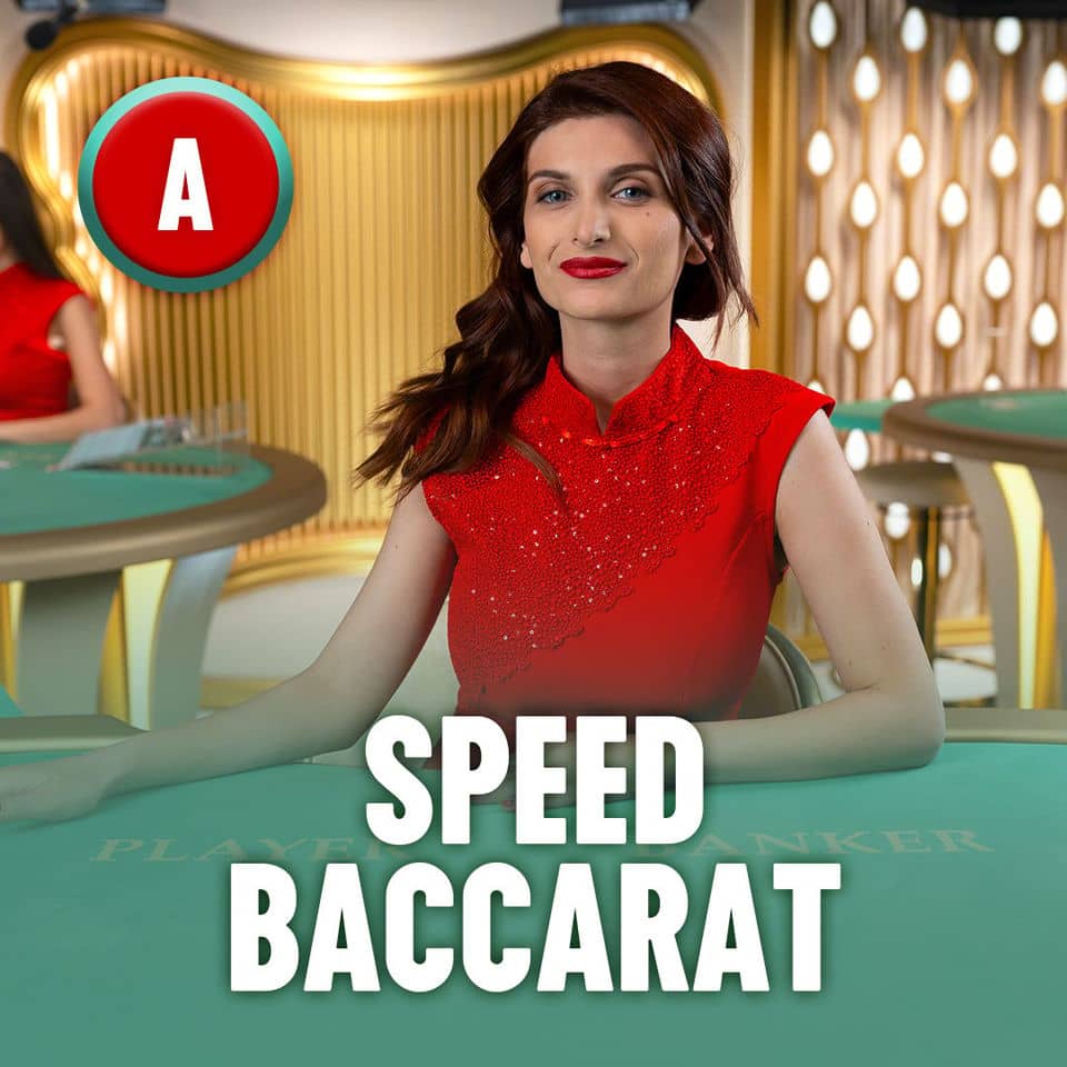 81bet .com